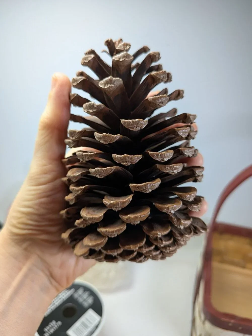 Rustic Holiday Decor Bundle: Wood Crackle Basket,12 Natural Pinecones & Metallic